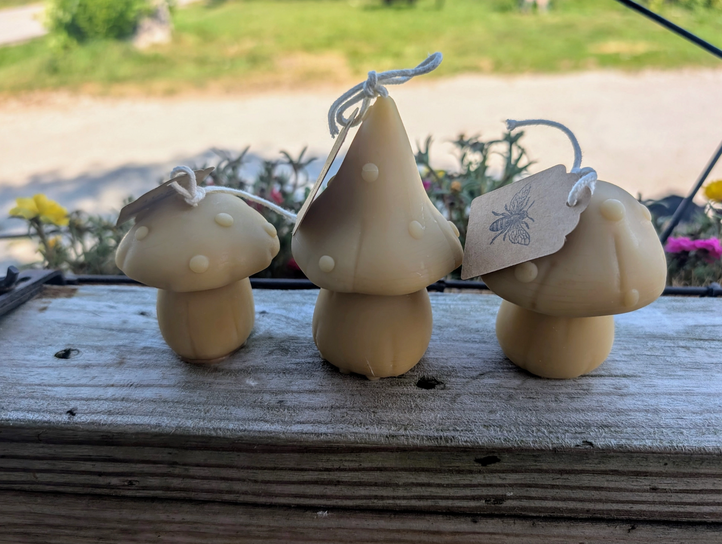 Beeswax Mushroom Candles