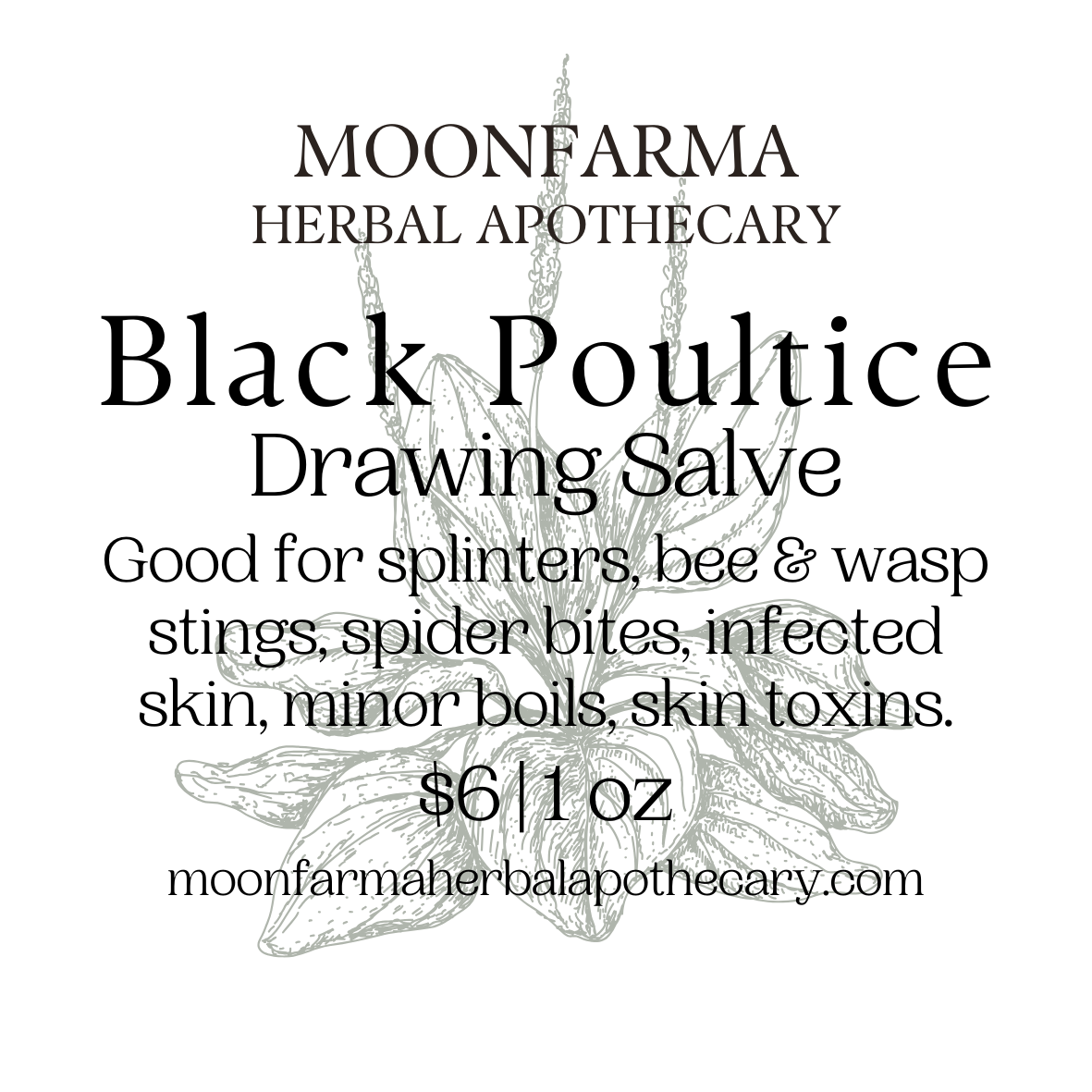 Black Poultice Drawing Salve