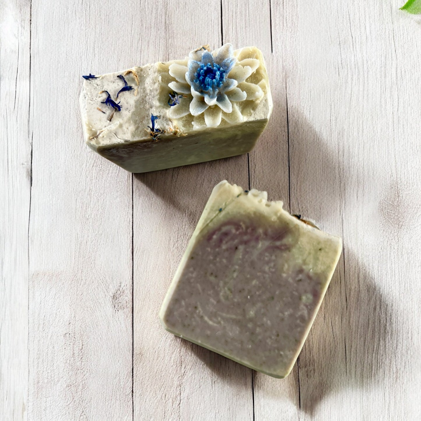 Olive Wood + Cypress | Handmade Soap