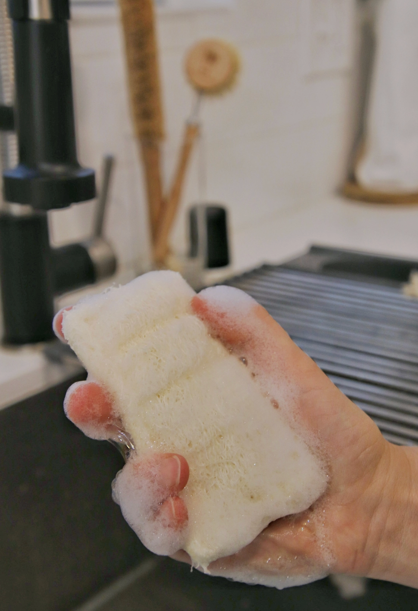 Natural Loofah Sponge