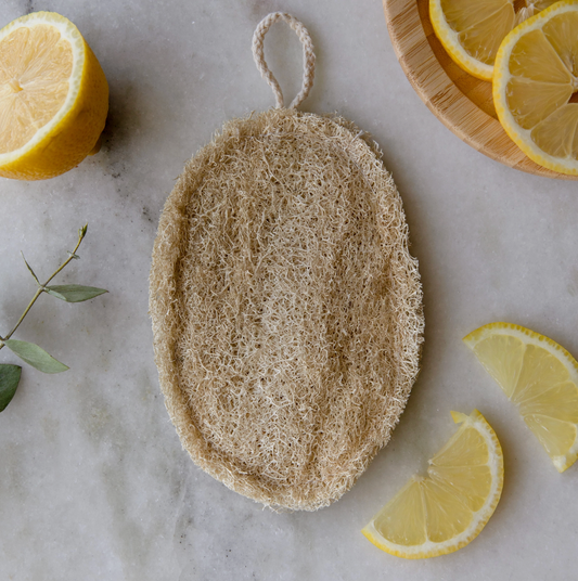 Double Layer Large Natural Loofah Sponge