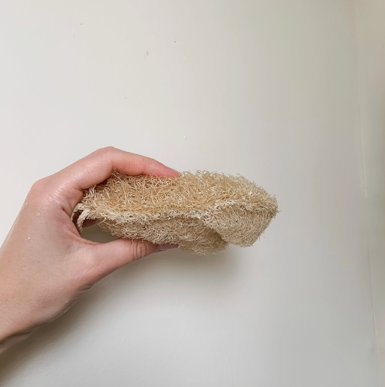 Double Layer Large Natural Loofah Sponge