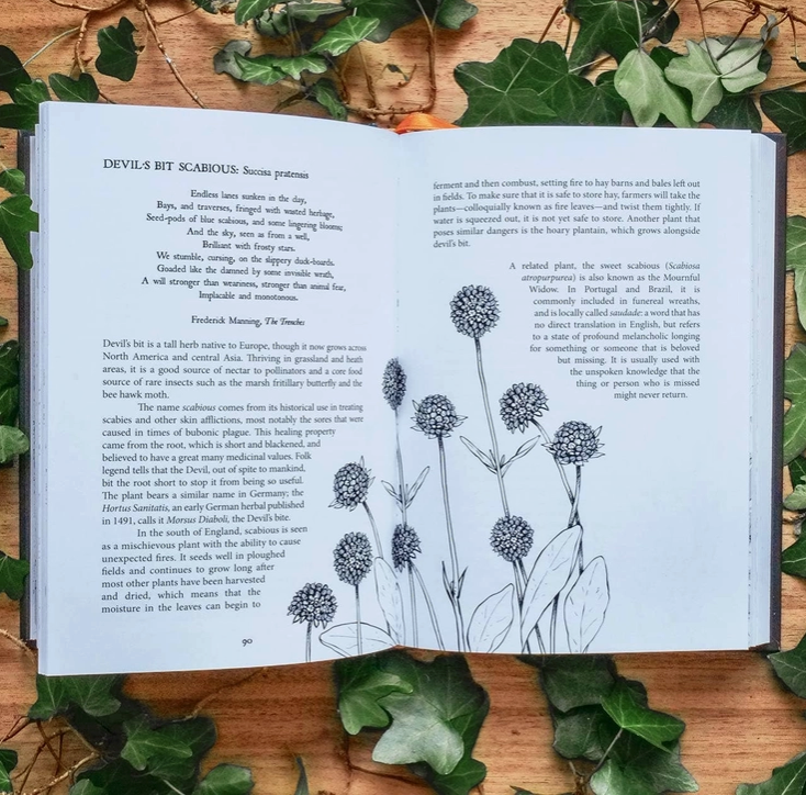 Botanical Curses and Poisons: the Shadow-Lives of Plants