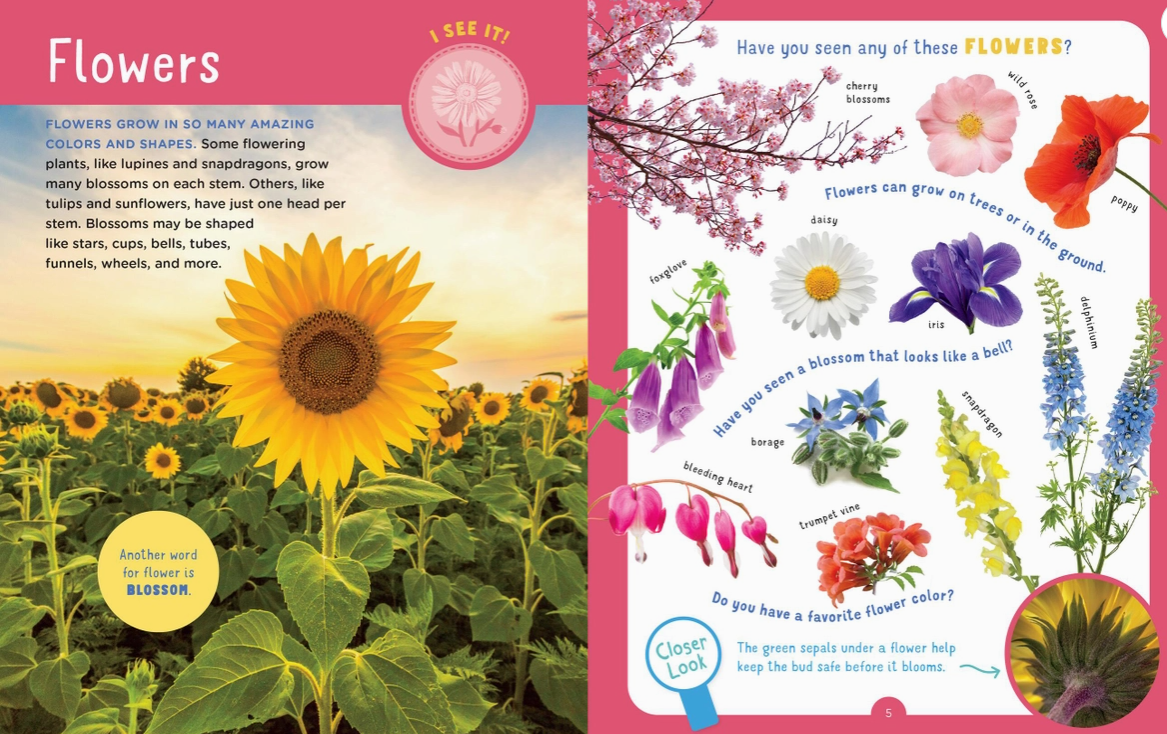 Backpack Explorer: Discovering Plants and Flowers